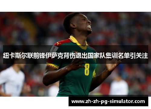 纽卡斯尔联前锋伊萨克背伤退出国家队集训名单引关注 纽卡斯尔联前锋伊萨克背伤退出国家队集训名单引关注