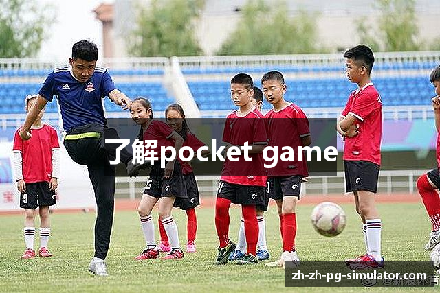 了解pocket game